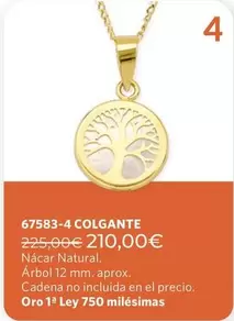 Oro - 67583-4
