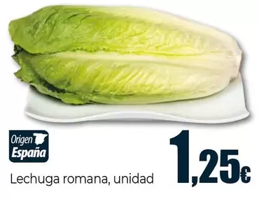 Lechuga Romana