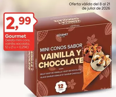 Gourmet - Gelats Mini Cons Vainilla Xceltata