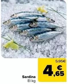 Sardina