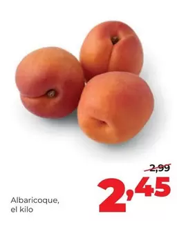 Alimerka - Albaricoque