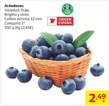 Arándanos