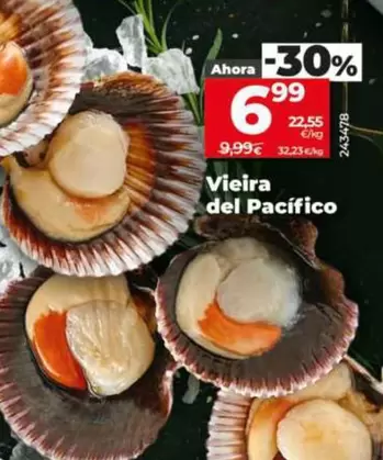 Vieira Del Pacifico