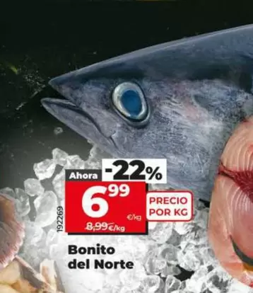 Bonito Del Norte