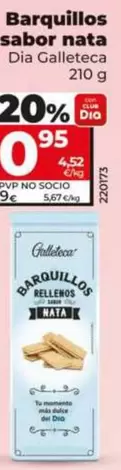 Dia Galleteca - Barquillos Sabor Nata