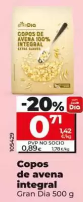 Gran Dia - Copos De Avena Integral