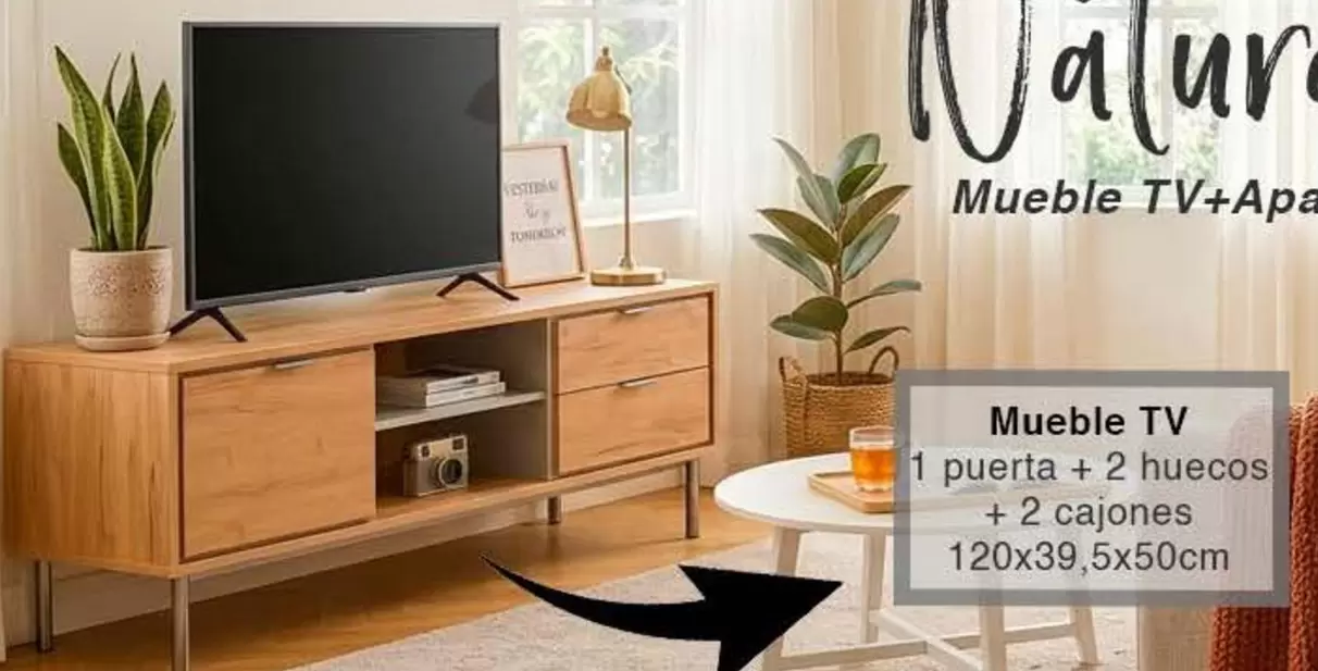 Mueble TV 1 Puerta + 2 Huecos + 2 Cajones