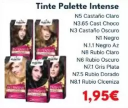 Schwarzkopf - Tinte Palette Intense