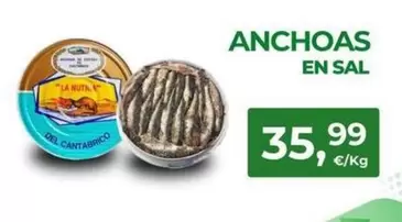 Anchoas En Sal