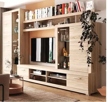 Muebles De Salón