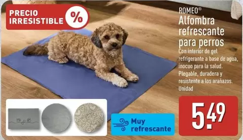 Romeo - Alfombra Refrescante Para Perros