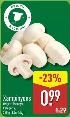 Xampinyons
