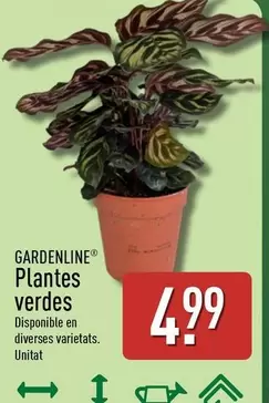 Gardenline - Plantes Verdes