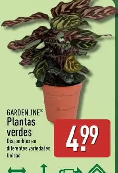 Gardenline - Plantas Verdes