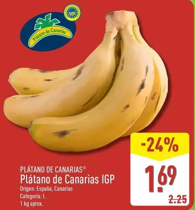 Platano De Canarias