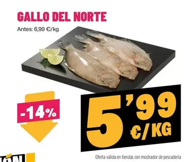Gallo -  del norte