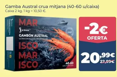 Austral - Gamba Crua Mitjana (40-60 U/caixa)