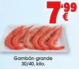 Gambón Grande 30/40