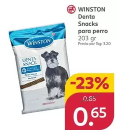 Winston - Denta S Para Perro