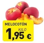 Melocoton