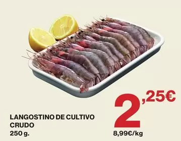 Langostino De Cultivo Crudo