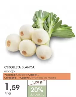 Caballero - Cebolleta Blanca