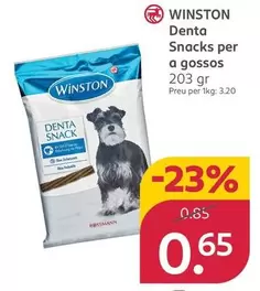 Winston - Denta S Para Perro
