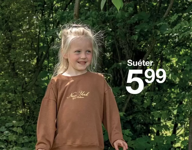Suéter