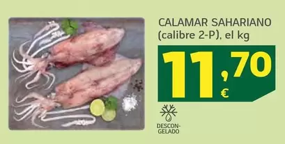 Calamar Sahariano