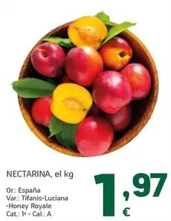 Nectarina