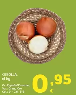 Cebolla