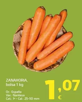 Zanahoria