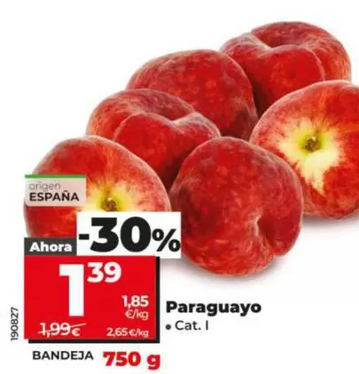 Paraguayo