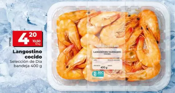 Seleccion De Dia - Langostino Cocido 