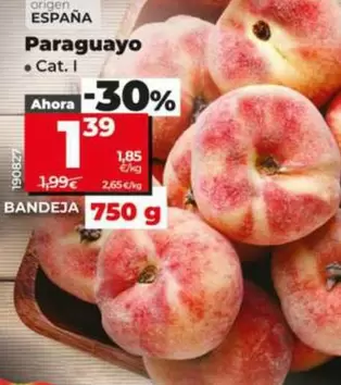 Paraguayo
