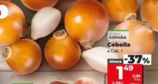 Cebolla