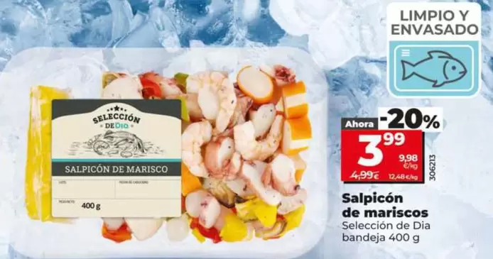 Seleccion De Dia - Salpicón De Mariscos 
