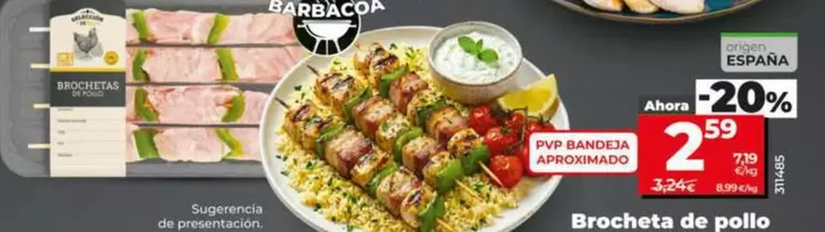 Seleccion De Dia - Brocheta De Pollo 