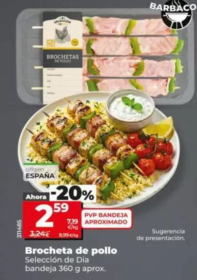 Seleccion De Dia - Brocheta De Pollo