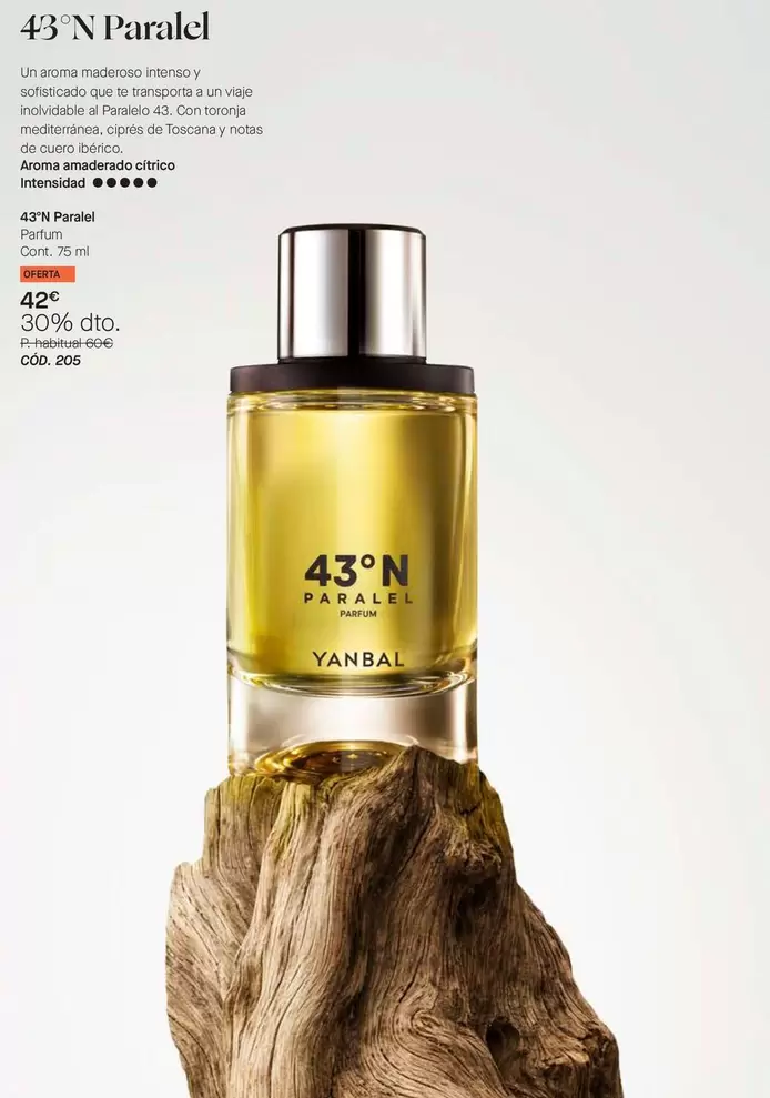 Intenso - 43 N Paralet