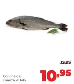 Alimerka - Corvina De Crianza
