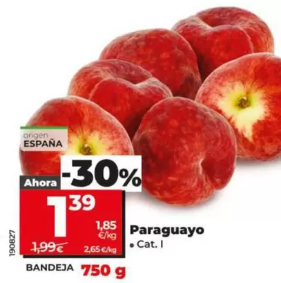 Paraguayo 