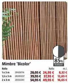 Mimbre 'Bicolor'
