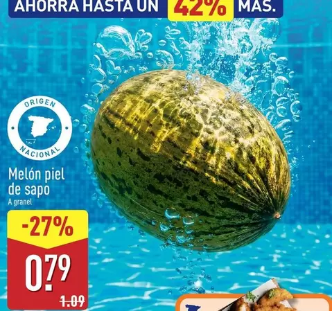 Melon Piel De Sapo
