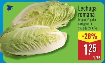 Lechuga Romana