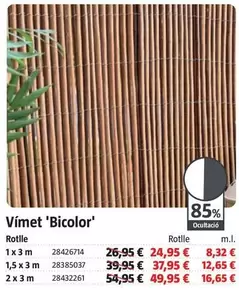 Mimbre 'Bicolor'