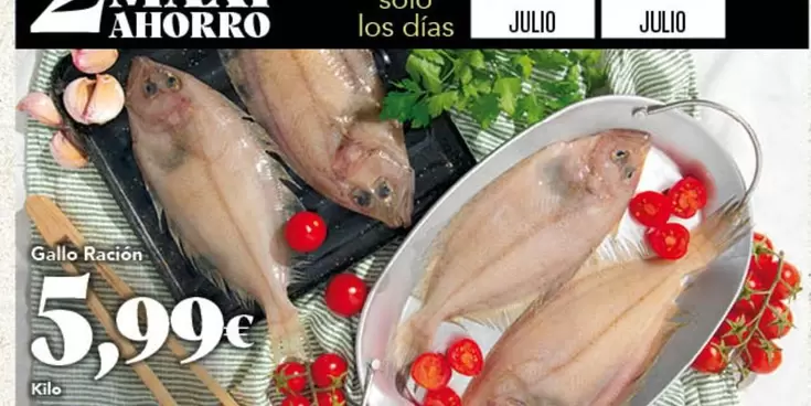 Gallo - Racion