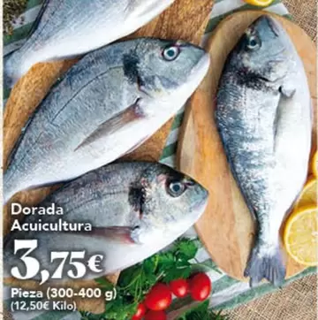 Dorada Acuicultura
