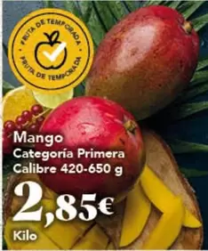 tempo - Mango Categoria Primera Calibre