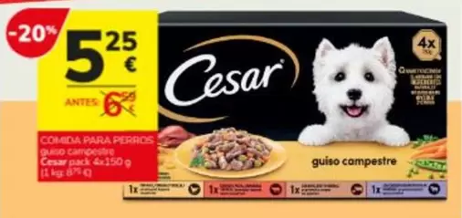 Cesar - Comida Para Perros